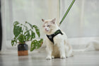 Adjustable Pet Control Harness Collar Safety Strap Vest + Strap Rope For Dog Puppy Cat