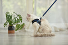Adjustable Pet Control Harness Collar Safety Strap Vest + Strap Rope For Dog Puppy Cat
