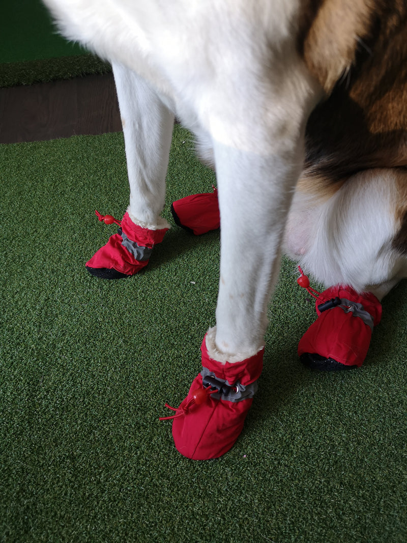 Non Slip Sock For Dog Indoor Dog Toe Grip Adjustable Dog Paw Protector  Strap
